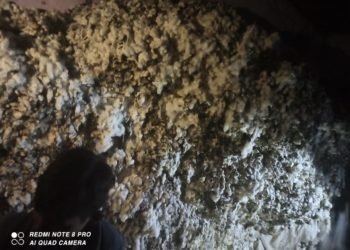 शार्ट सर्किट होने से कपास में लगी आग ग्रामीणों की मदद से आग पर पाया काबू।