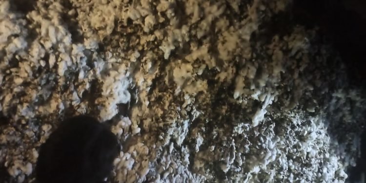 शार्ट सर्किट होने से कपास में लगी आग ग्रामीणों की मदद से आग पर पाया काबू।