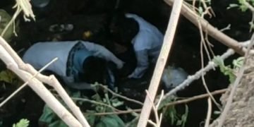 मजदूरों से भरा पिकअप वाहन कुवें में गिरा, 2 की मौत 6 गम्भीर घायल, मजदूरों के दबे होने की आशंका, सर्चिंग जारी