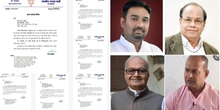भाजपा के दमोह में हार के 10 बड़े कारण (दमोह चुनाव का नजदीक से देखा गया विश्लेषण )