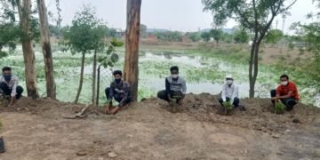 विश्व पर्यावरण दिवस के अवसर पर नेहरू युवा जागृति नवयुवक मंडल द्वारा किया गया पौधा रोपण।