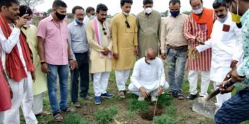 क्षेत्रीय सांसद रोडमल नागर ने भेसवा माता की नक्षत्र वाटिका में सो पौधों का किया पौधारोपण किया।