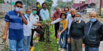 जिला शिक्षक सम्मान समारोह समिति ने हरियाली अमावस्या पर पौधारोपण किया। समिति ने बैठक कर भावी कार्यक्रमों की रूपरेखा तैयार करी।
