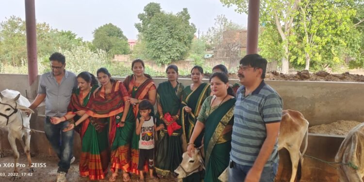 महाराजा अग्रसेन की दसवीं महा आरती का हुआ आयोजन महासभा की महिलाएं पहुंची गौशाला।