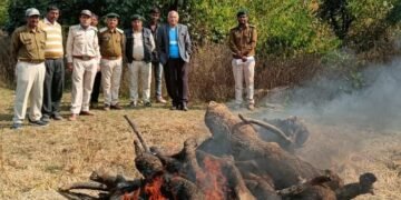 तेंदुए का अंतिम संस्कार हुआ, तेंदुए की मौत के साक्ष्य जुटाने में बडी-बडी टीमें जुटी।