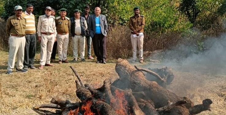 तेंदुए का अंतिम संस्कार हुआ, तेंदुए की मौत के साक्ष्य जुटाने में बडी-बडी टीमें जुटी।