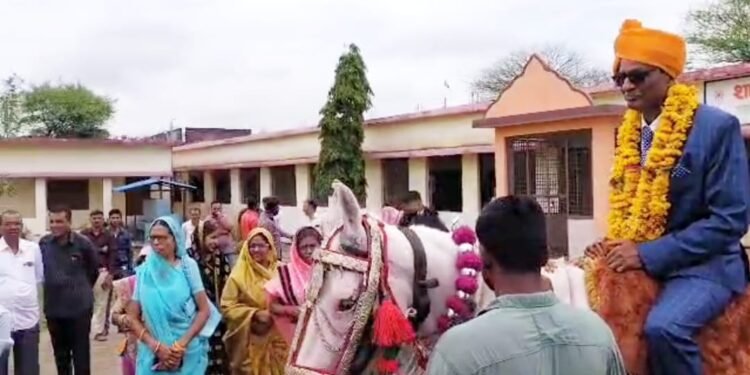 #धार : सेवानिवृति पर शिक्षक को घोड़ी पर बिठाकर बिदाई दी।