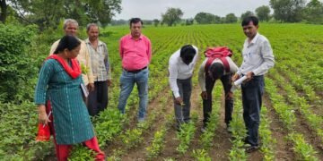 धार : अधिकारियों द्वारा खरीफ फसलों की स्थिति का अवलोकन किया।