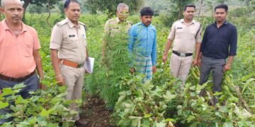 धार : डही पुलिस की अवैध मादक पदार्थ गांजे के विरुद्ध बडी कार्यवाही।