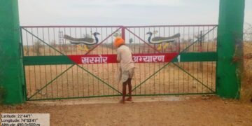 Dhar : खरमोर पक्षी के प्रति जागरूकता फैलाने के लिए हजारों रुपयों की राशि खर्च, फिर भी ग्रामीणों और आमजनों में भ्रांतियां!