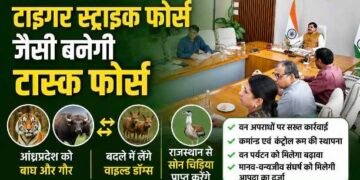 MP News: मुख्यमंत्री डॉ. मोहन यादव के बड़े फैसले, टाइगर स्ट्राइक फोर्स जैसी टास्क फोर्स बनेगी, आंध्रप्रदेश से होंगे वाइल्ड डॉग्स का आदान-प्रदान..