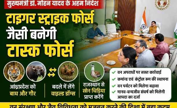 MP News: मुख्यमंत्री डॉ. मोहन यादव के बड़े फैसले, टाइगर स्ट्राइक फोर्स जैसी टास्क फोर्स बनेगी, आंध्रप्रदेश से होंगे वाइल्ड डॉग्स का आदान-प्रदान..