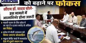 MP : मछली पालन पर सरकार का बड़ा फोकस, CM डॉ मोहन यादव के निर्देश..