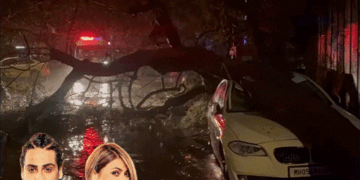उर्वशी ढोलकिया के बेटे की कार पर गिरा पेड़:मुंबई में भारी बारिश के बीच बाल-बाल बचे क्षितिज, वीडियो शेयर किया