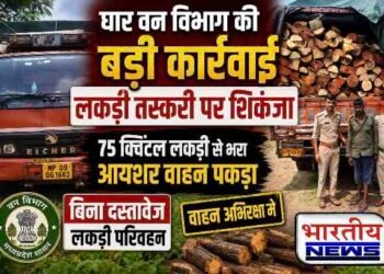 धार में लकड़ी तस्करी पर वन विभाग की कार्रवाई, बिना दस्तावेजों के 75 क्विंटल लकड़ी से भरा आयशर वाहन पकड़ा..