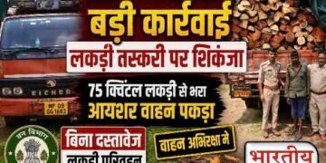 धार में लकड़ी तस्करी पर वन विभाग की कार्रवाई, बिना दस्तावेजों के 75 क्विंटल लकड़ी से भरा आयशर वाहन पकड़ा..